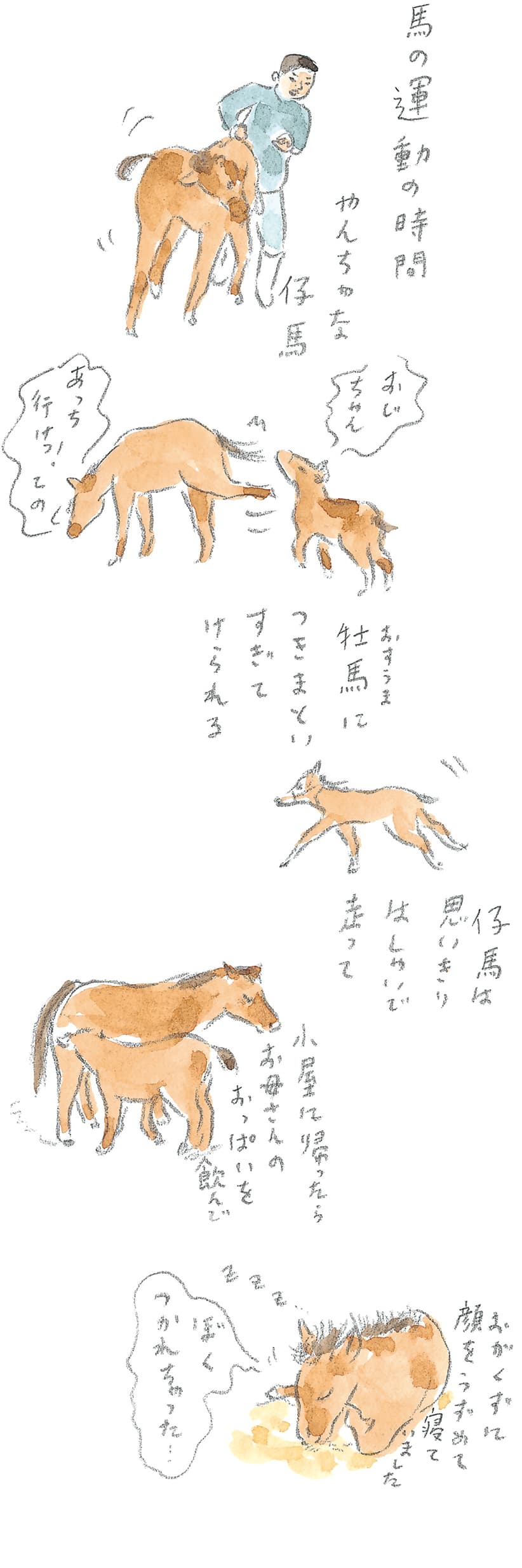 第8回 対馬で天然記念物とふれ合う - 2/3