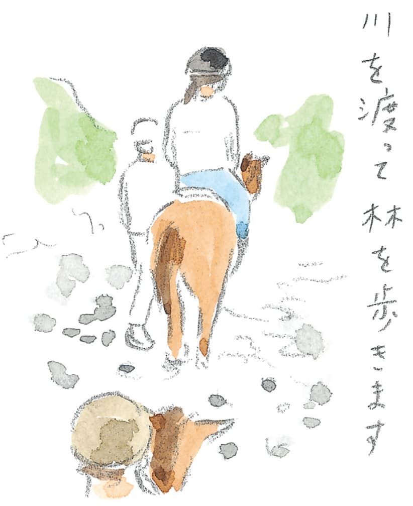 第8回 対馬で天然記念物とふれ合う - 1/3