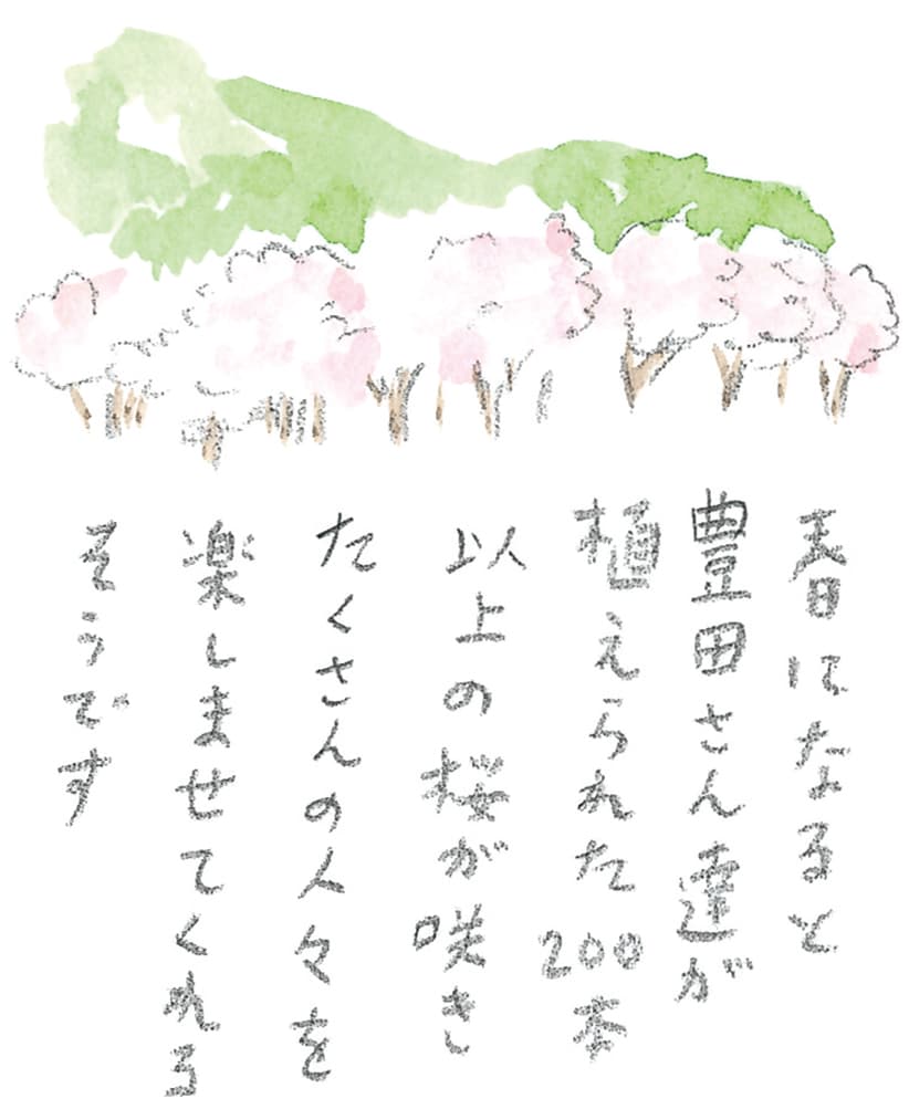 第8回 対馬で天然記念物とふれ合う - 2/3