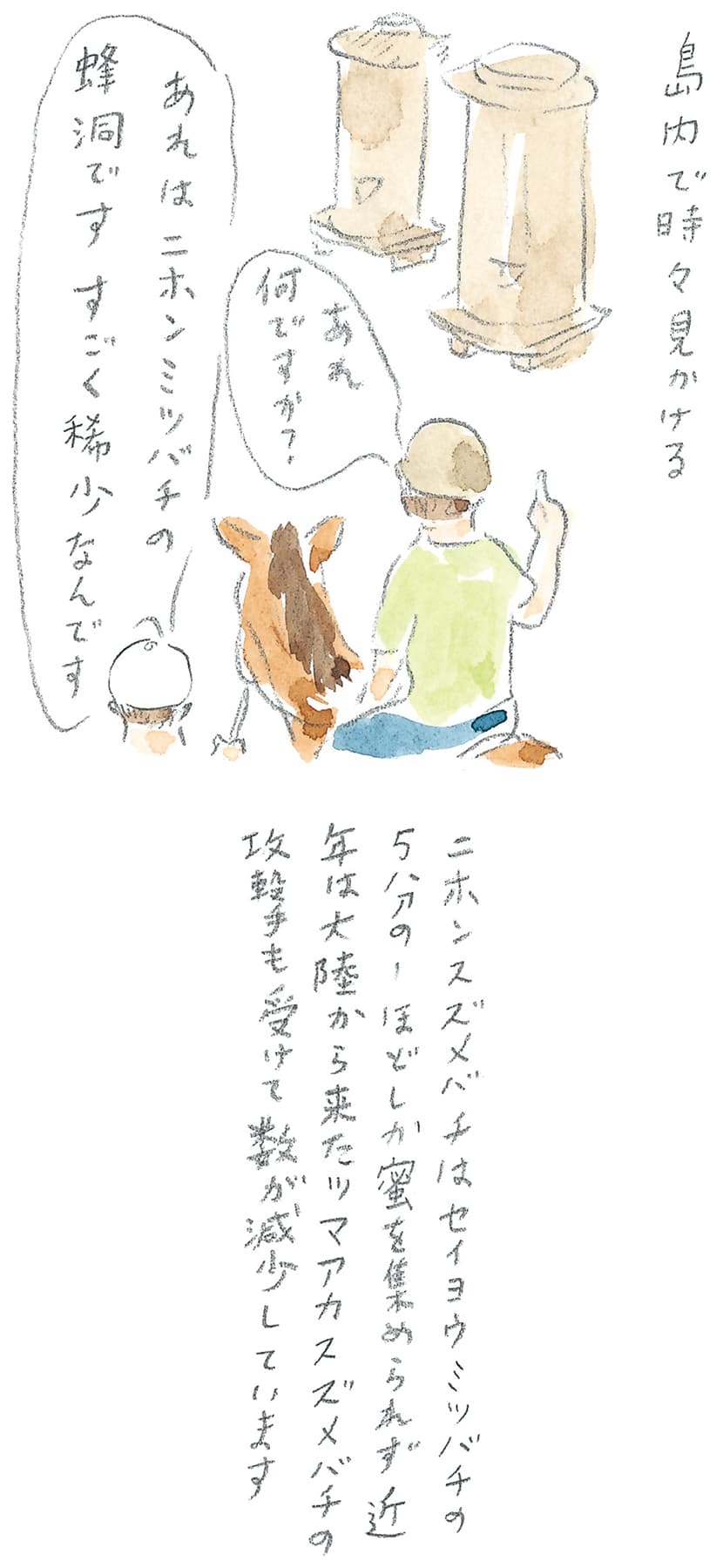 第8回 対馬で天然記念物とふれ合う - 2/3