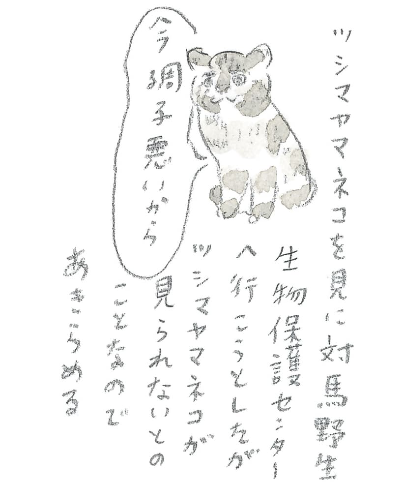 第8回 対馬で天然記念物とふれ合う - 3/3