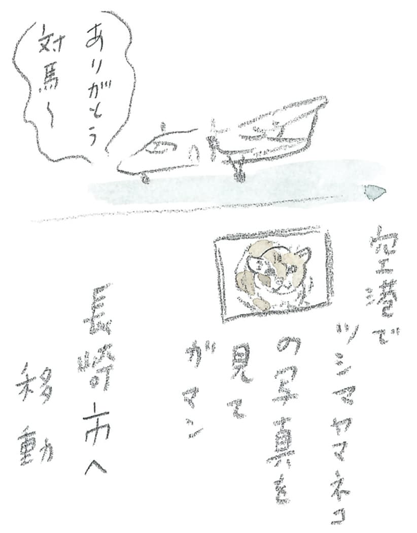 第8回 対馬で天然記念物とふれ合う - 1/3