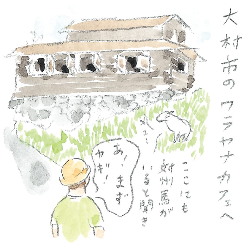 第8回 対馬で天然記念物とふれ合う - 2/3