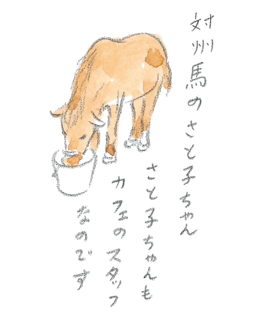 第8回 対馬で天然記念物とふれ合う - 3/3
