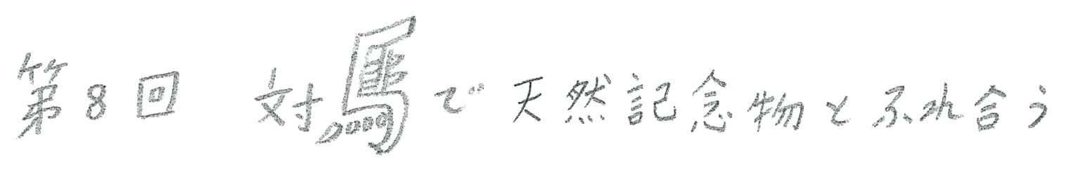 第8回 対馬で天然記念物とふれ合う