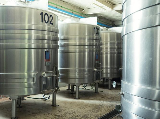 醸造にはフランスから輸入したステンレスタンク（写真）とホーロータンクを使用。15℃の地下水で温度管理をしながら醗酵させる。