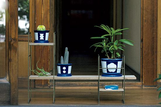 プラントハンター・西畠清順（そら植物園）との新ブランド〈花園樹斎〉の植物と鉢のセットも人気。