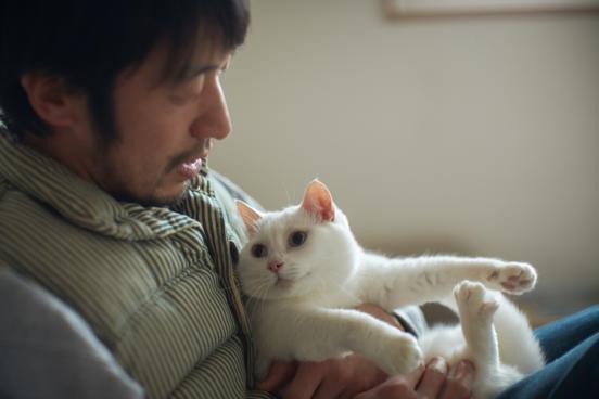 ilove.cat：パン屋〈KAISO〉鈴木夫妻☓まそ—南国からやってきた真っ白な猫