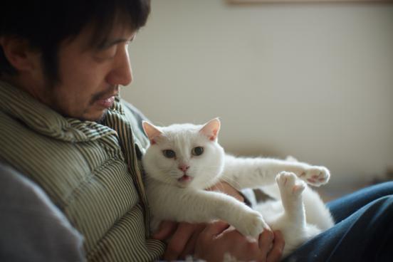 ilove.cat：パン屋〈KAISO〉鈴木夫妻☓まそ—南国からやってきた真っ白な猫
