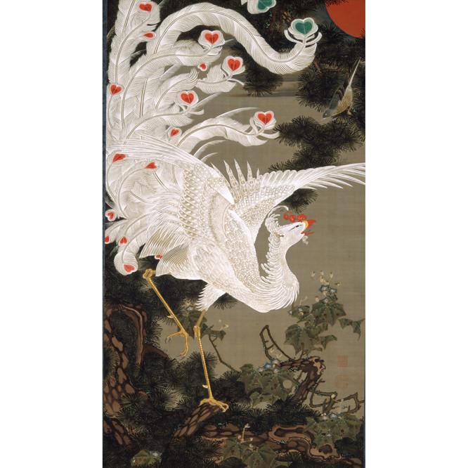 羽のハート型がかわいい鳳凰。想像上の動物なのに妙にリアルだ。《動植綵絵　老松白鳳図》絹本着色　一幅　141.8×79.7cm　明和3年（1766年）頃　宮内庁三の丸尚蔵館