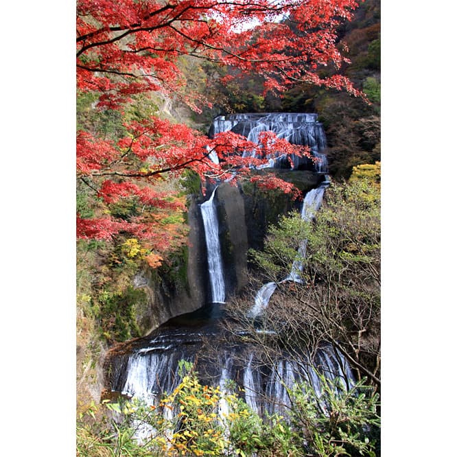 日本三名瀑のひとつ、袋田の滝。滝に向かうトンネルの中では、ジョン・ヘリョンによる滝や川の流れをモチーフにした光るインスタレーション作品が展示される予定だ。