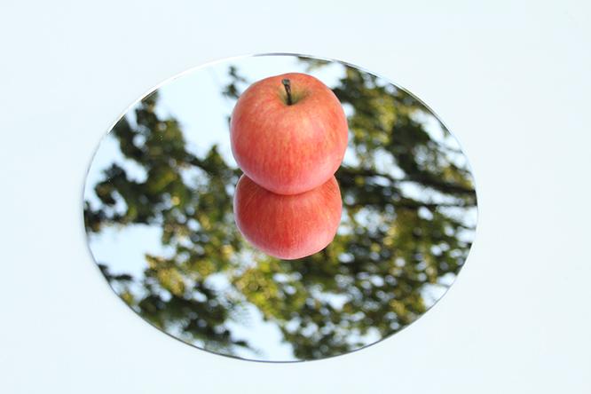 「りんごが鏡の中に落ちない理由」（2003）。鏡の上にりんごを落とすと、鏡に映ったりんごが反対側からも着地し、二つのりんごが互いに落ちてしまわないように支えあっているように見える。