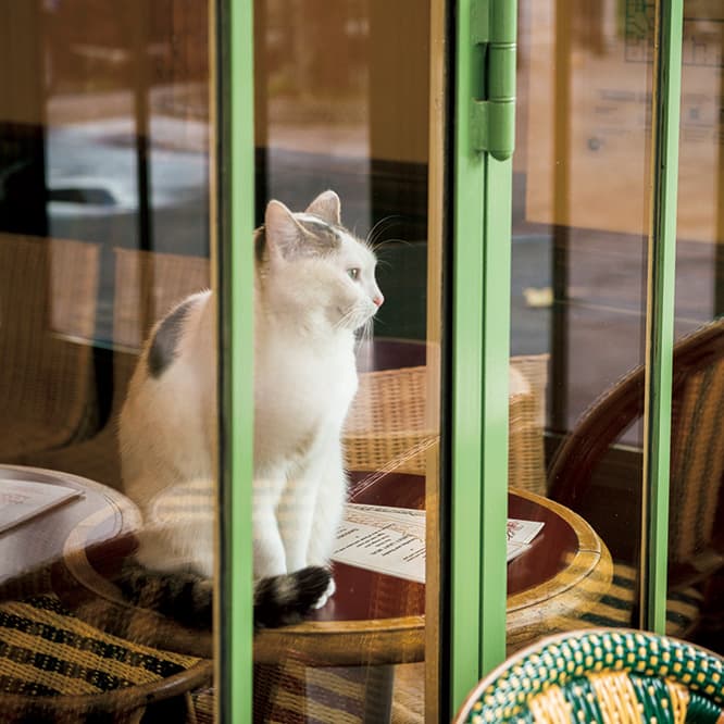 往来を眺めながら物思いにふける。