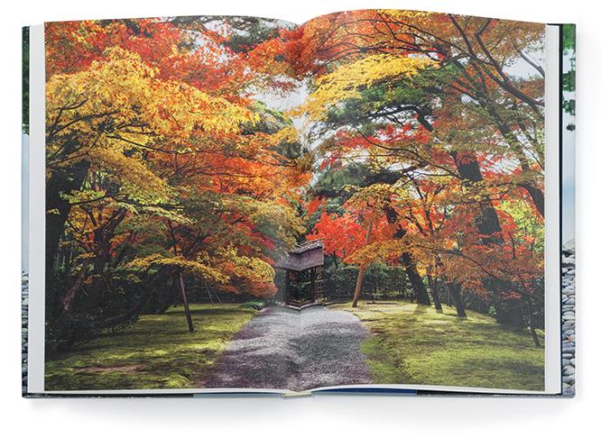 〈桂離宮〉の「表門から御幸門への道、秋」と題された作品。燃えるような紅葉の向こうに茅葺切妻屋根の御幸門が見える。