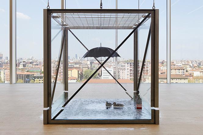 水が滴り落ちるボックスのなかに、傘とゴム製のアヒルを展示したダミアン・ハーストの作品。