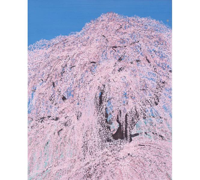 《三春の瀧桜》 2013年 軽井沢千住博美術館所蔵