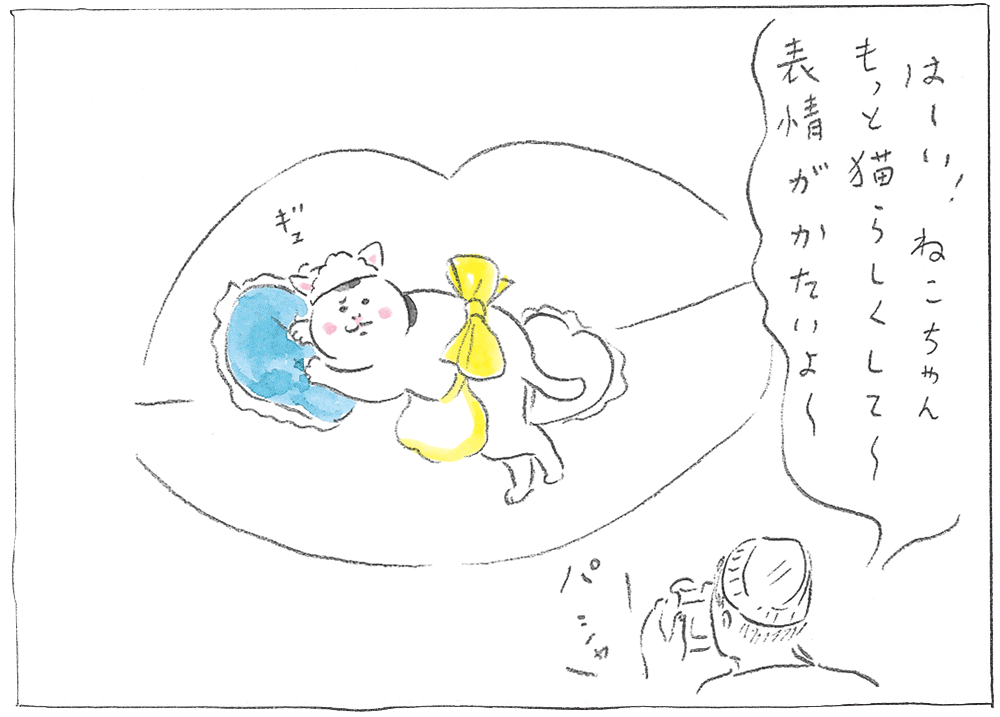 『カーサの猫村さん』ほしよりこ 第78話 - 10/15