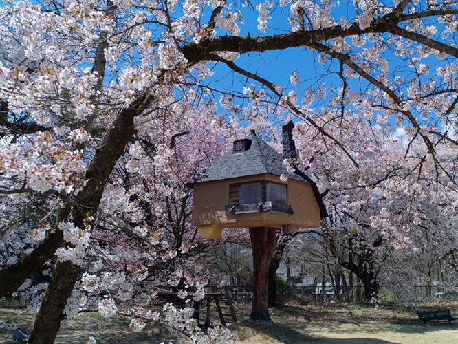 藤森照信設計の茶室〈徹〉。樹齢80年の檜が支えるツリーハウス状の茶室は、赤瀬川原平ら「縄文建築団」が施工した。