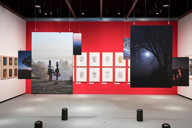 写真家・松岡宏大が撮影したゴンド族の暮らし。その奥には 『夜の木』の原画が。絵本の世界を多角的に感じられる。