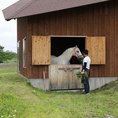 馬と泊まる!? 隈研吾監修の実験住宅がホテルになりました。