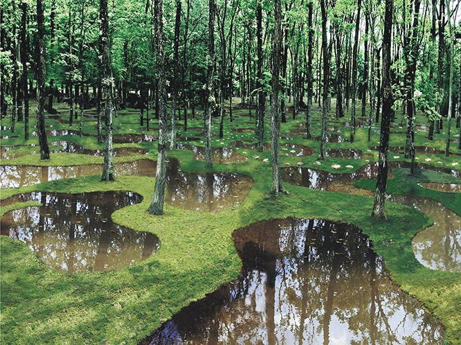 池からは水がしみ出るため、近くに木を植えると根が腐ってしまうのだが、ここでは底に防水シートを敷いている。池のすぐそばに木が生える、自然界では見られない風景が生まれた。
