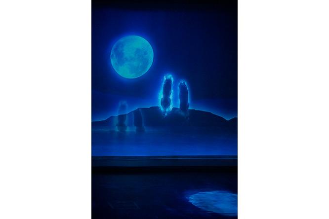 阿寒湖アイヌ×デジタルアート。〈WOW〉がカムイの世界を描き出す。