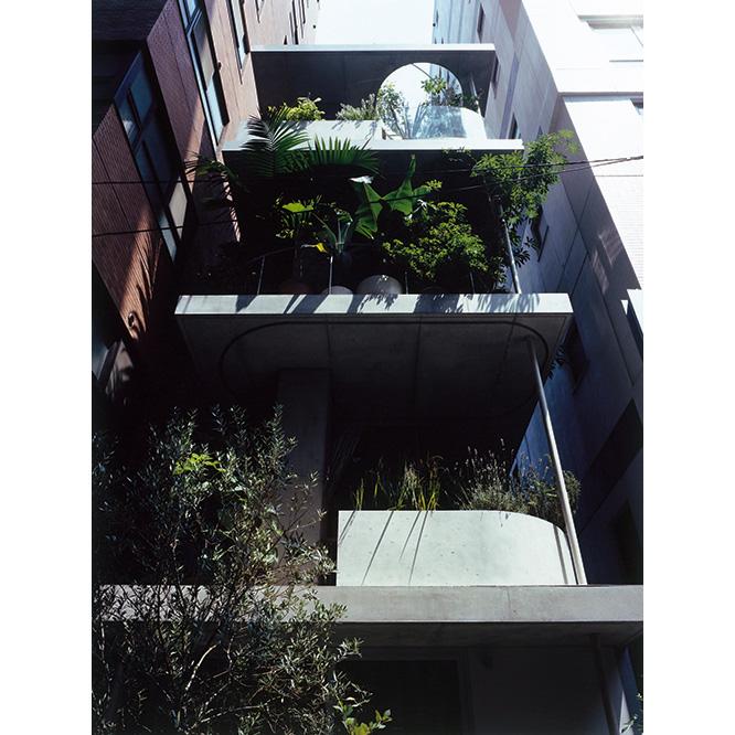 狭小な敷地に建つ4階建ての住宅〈Garden&amp;House〉の全体像。各階に作られた庭からは植物が生い茂っている。都心のビル群に突如現れる、まさに秘密の庭と言える建築物だ。