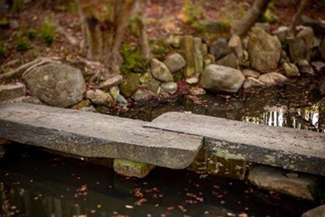 大阪の山口財閥の当主であった山口吉郎兵衛の茶室を庭に再現。