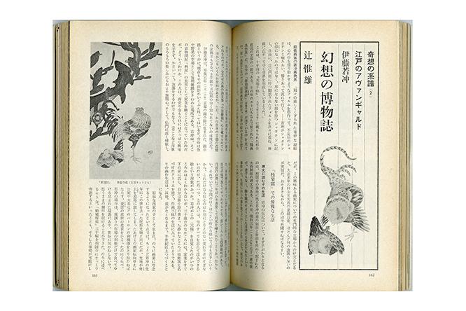 『美術手帖』1968年10月号では「伊藤若冲 幻想の博物誌」。生き物を描き尽くそうとした若冲の絵は博物画的だと展開する。