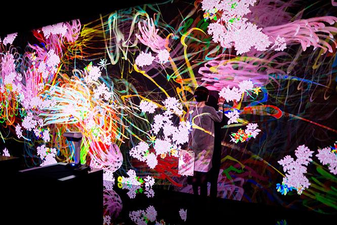 teamLab, Graffiti Flowers Bombing, 2018, Interactive Digital Installation, Endless, Sound: Hideaki Takahashi (c) teamLab
