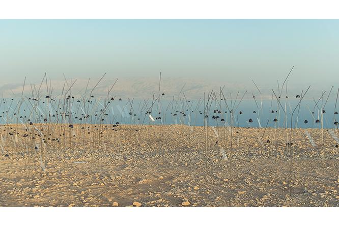 ANIMITAS (MÈRES MORTES), DEAD SEA, ISRAEL.《アニミタス 死せる母たち 》、死海、イスラエル 2017 年 フルHDビデオ、カラー、音声10時間33分。Full HD video, colour, sound - 10 hours 33 min Courtesy of the Fondation Louis Vuitton © Adagp, Paris 2019