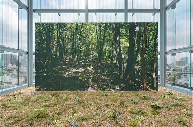 床には枯れ草と花が敷き詰められていて、いい香りがする。「音や風、香りも一緒に感じてほしい。私のアートは『トータル・アート』なのです」と、ボルタンスキーは話す。　《アニミタス（ささやきの森）》、日本 2016 年 展示風景、エスパス ルイ・ヴィトン 東京、2019 年 フル HD ビデオ、カラー、音声 12 時間 52 分 21 秒　Courtesy of the Fondation Louis Vuitton Photo: Jérémie Souteyrat © Adagp, Paris 2019
