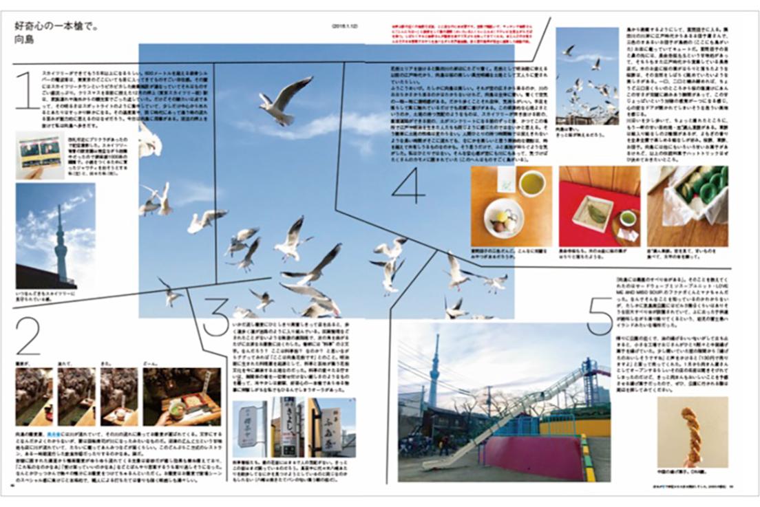 澄んだスカイブルーは、東京・向島で著者が見上げた空の色。