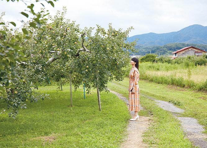 青森の弘前市郊外では、いたるところにリンゴ畑がある。今回訪ねた〈松山漆工房〉の隣にも。
