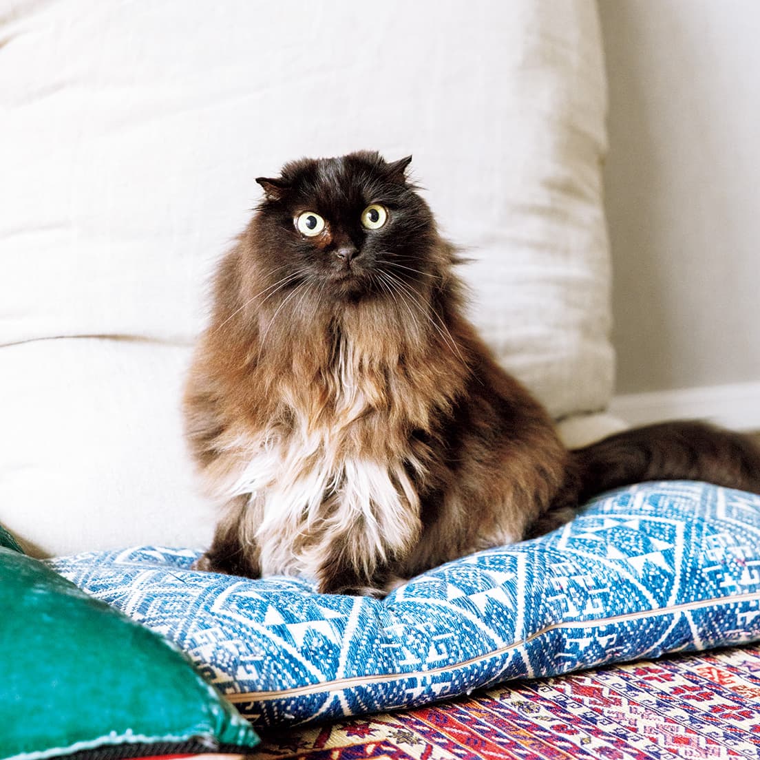 ヴィンテージファブリックのクッションが定位置。