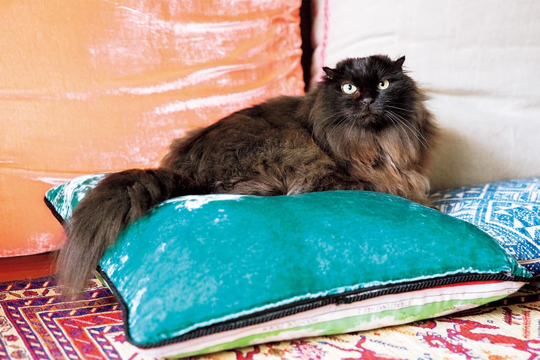 一度座るとそのまま動かず。