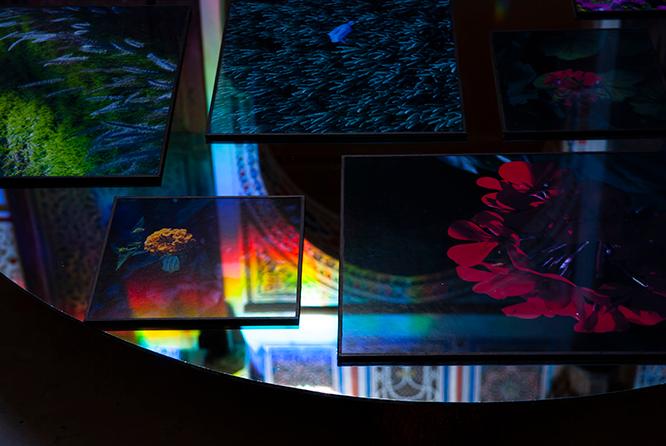 松原 慈《Jnan Sbil / Freedom Garden》2014 年『The Blind Dream』展（Douiria Mouassine Museum、モロッコ）。十和田での滞在調査を通し、十和田湖の岩肌や地底の下でいまも燃え盛る炎からインスピレーションを得たという。赤をテーマとし、体内と地球が響き合うような体験をもたらす。※参考作品