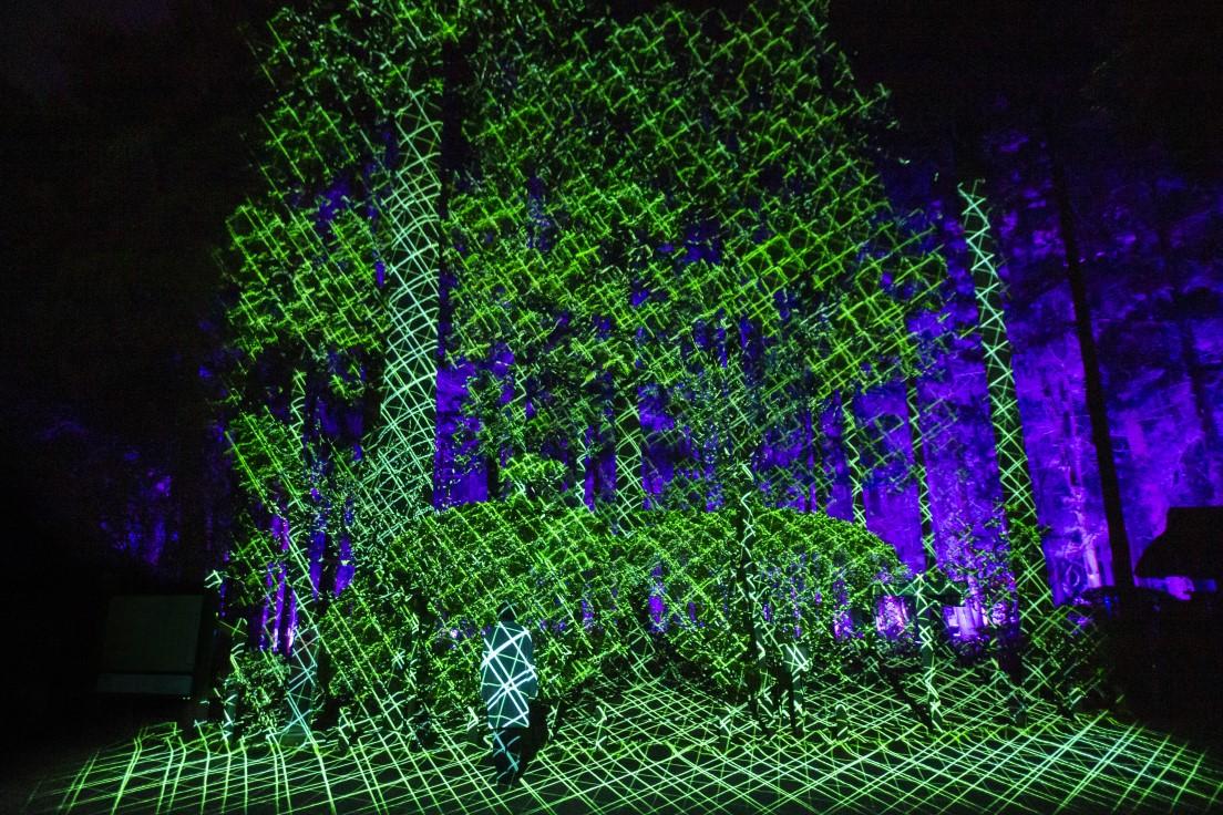 《具象と抽象 - 陽と陰の狭間》庭園の「陽の世界」とクマザサ、大杉森、孟宗竹林が茂る幽暗閑寂な「陰の世界」の境界にある作品。人が入ると新たなグリッドが派生し、林が平面のレイヤーになる瞬間が生まれる。teamLab,2021,Interactive Digital Nature,Sound:Hideaki Takahashi