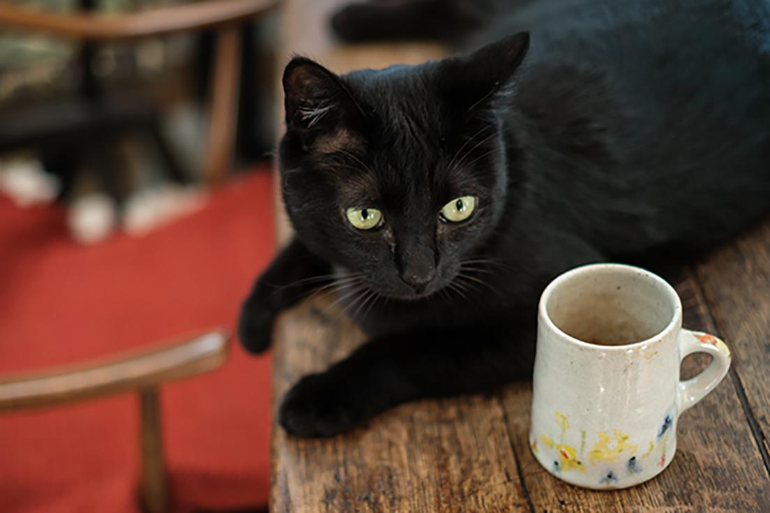愛猫の黒玉と〈郡司製陶所〉のマグカップ。庸久さんが成形し、慶子さんが絵付けをしたもの。
