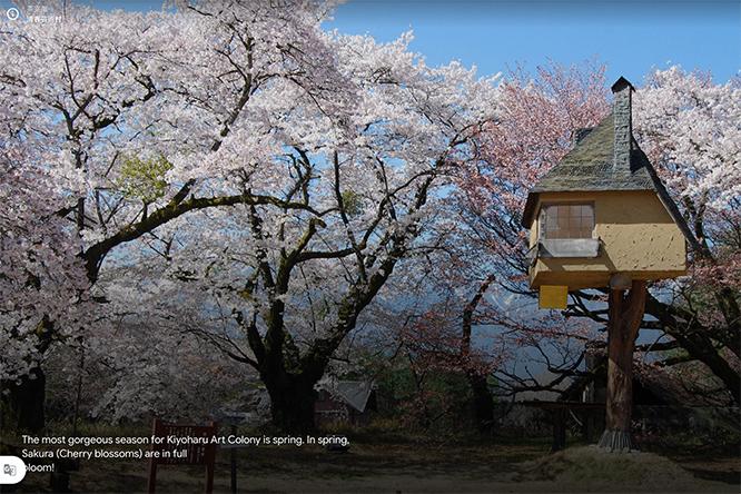 藤森照信設計のツリーハウスのような茶室〈徹〉。満開の桜に囲まれる様は圧巻だ。《Google Arts &amp; Culture》より。