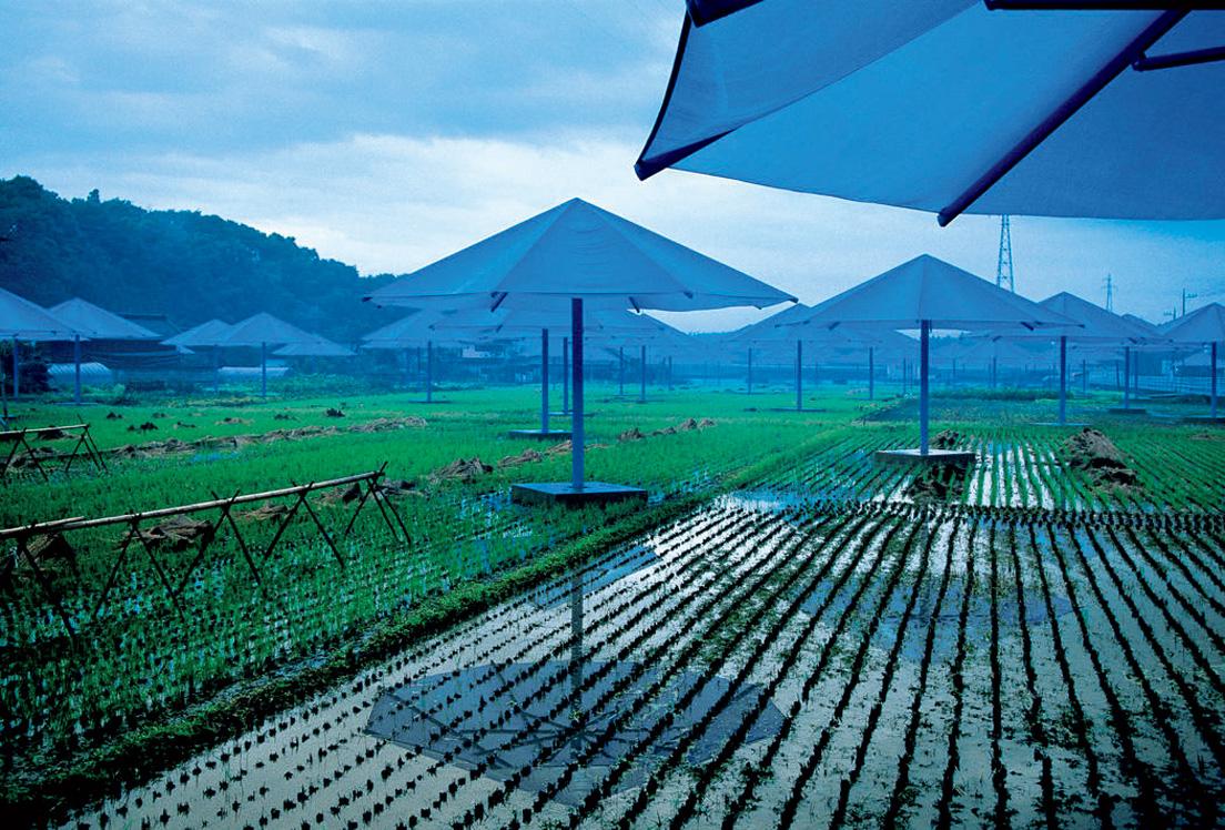 日本とアメリカで開催した《アンブレラ》（1984-91）。The Umbrellas, Japan-USA, 1984-91 / Christo and Jeanne-Claude, Photo: Wolfgang Volz