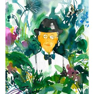 植物学の父、牧野富太郎を描いたアート絵本。
