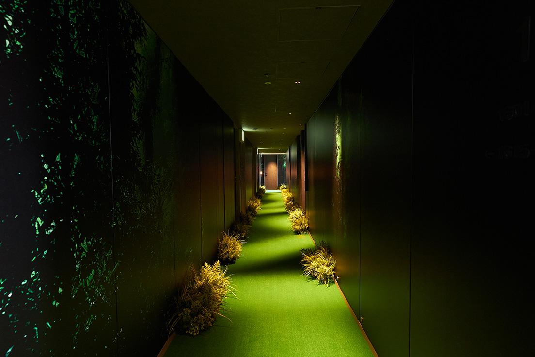 人工芝が敷き詰められた“草むら”廊下。壁面も草むらをイメージしたプリントに張り替えられている。