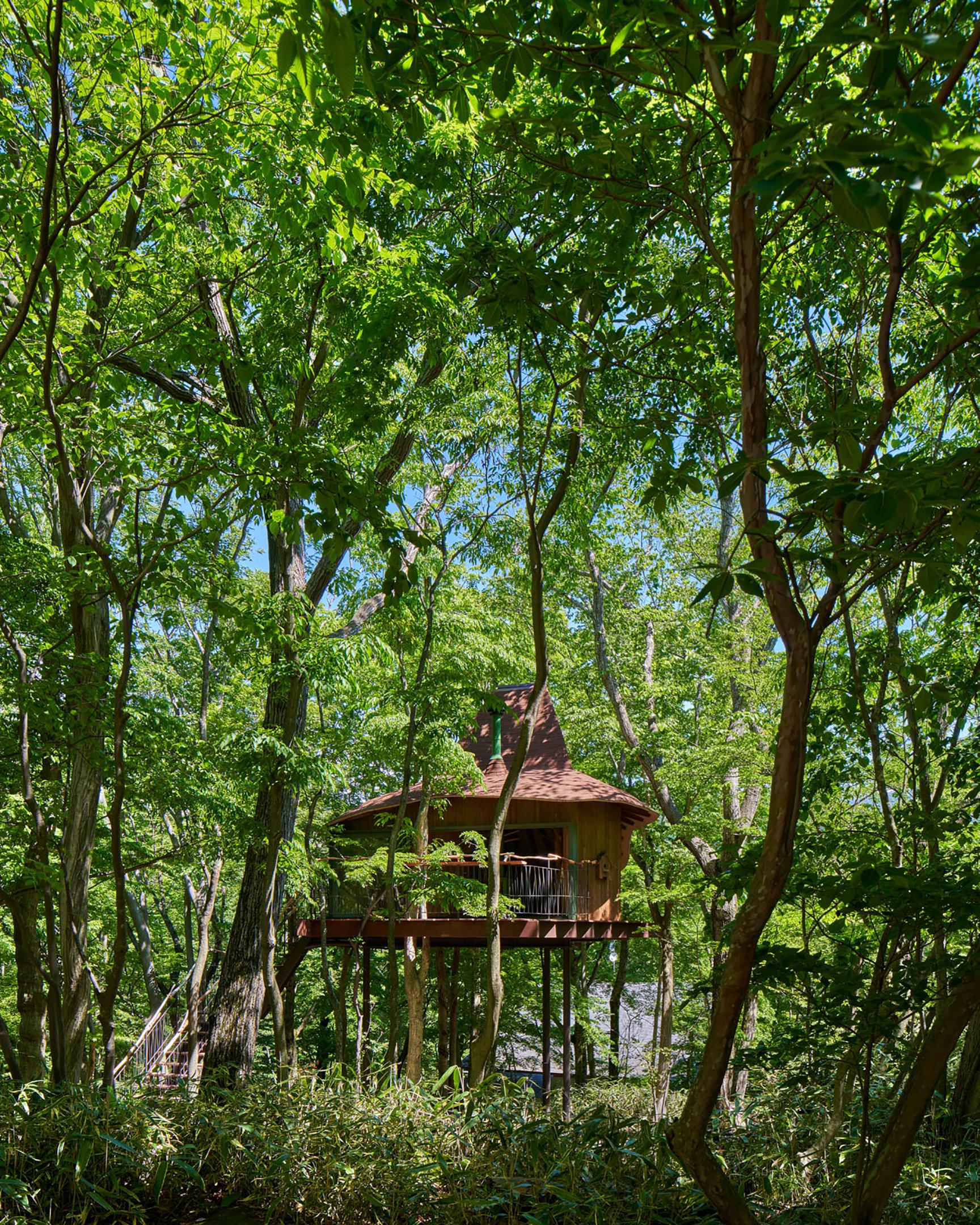 箱根の森に浮かぶ〈ツリーハット〉。階段を上った先に広がる内部空間はわずか19平米。