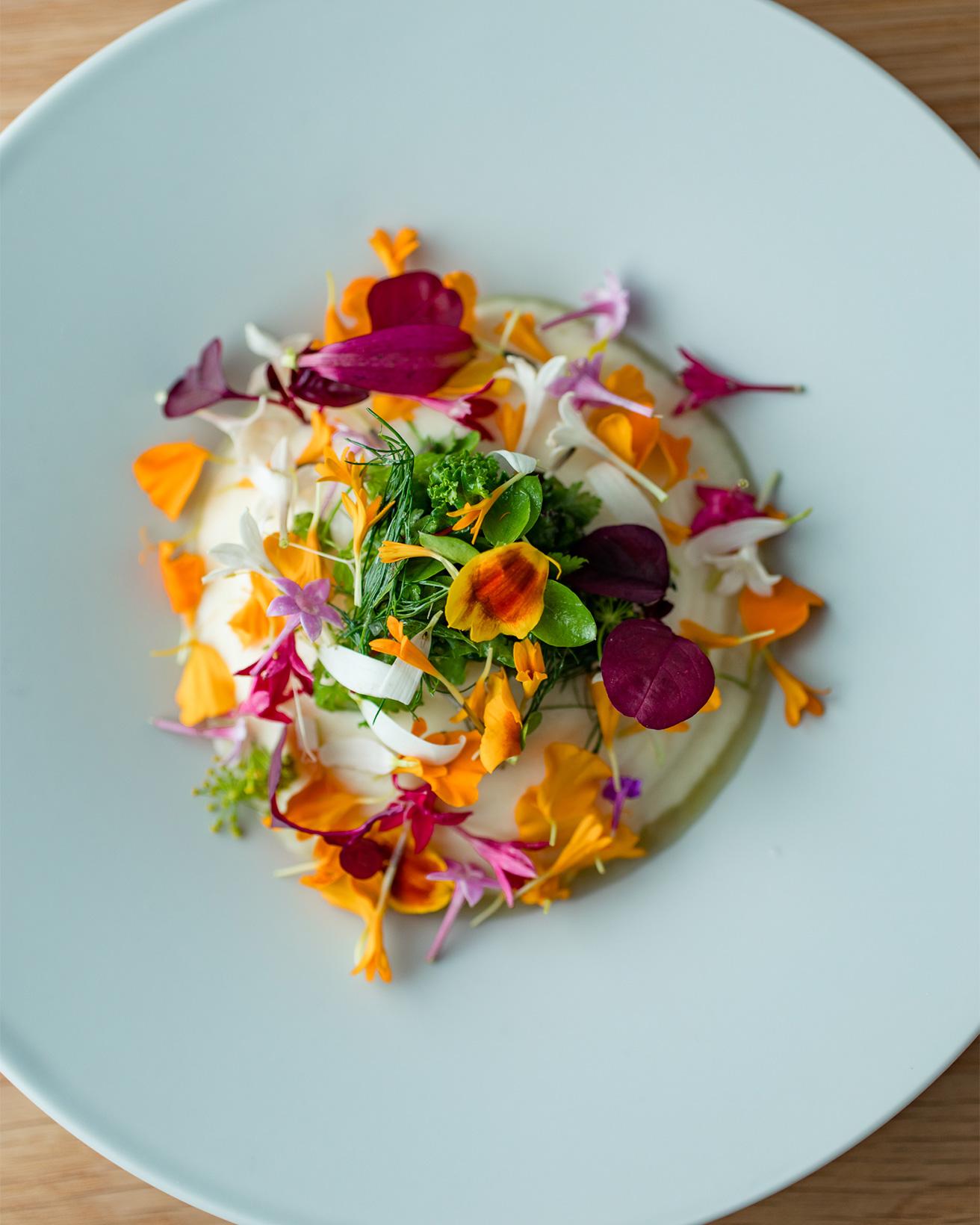 「ホエームースのサラダ」土曜のランチコース5,500円の前菜。ウイキョウや大根の花は、実の状態を思わせる風味がある。