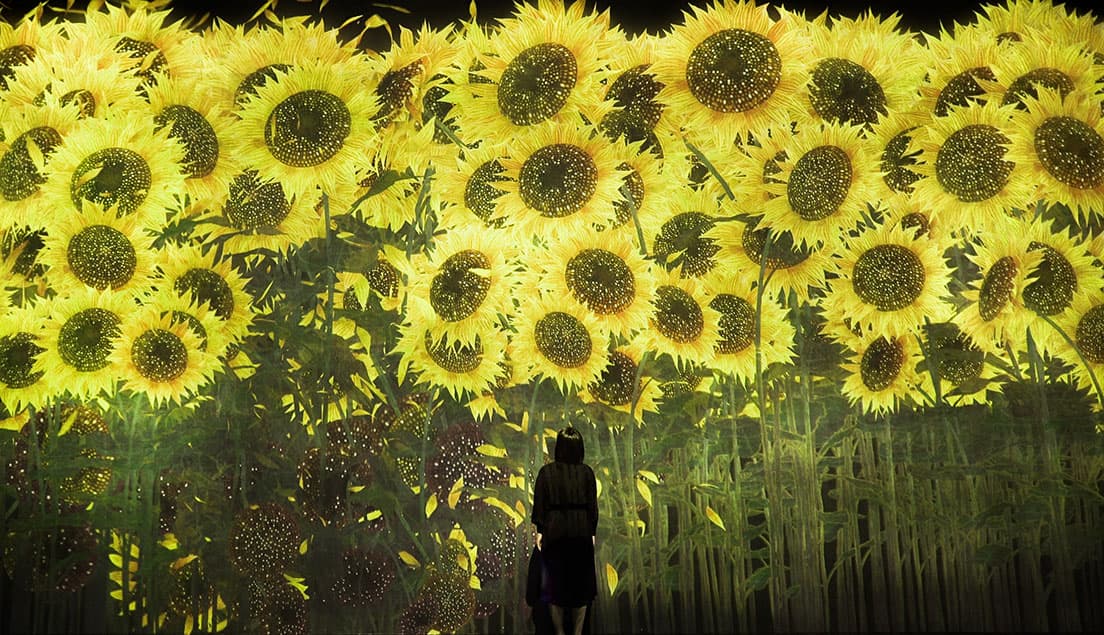 《増殖する無量の生命 - A Whole Year per Year》。現実の季節に応じて咲く花が移り変わり、増殖していく。