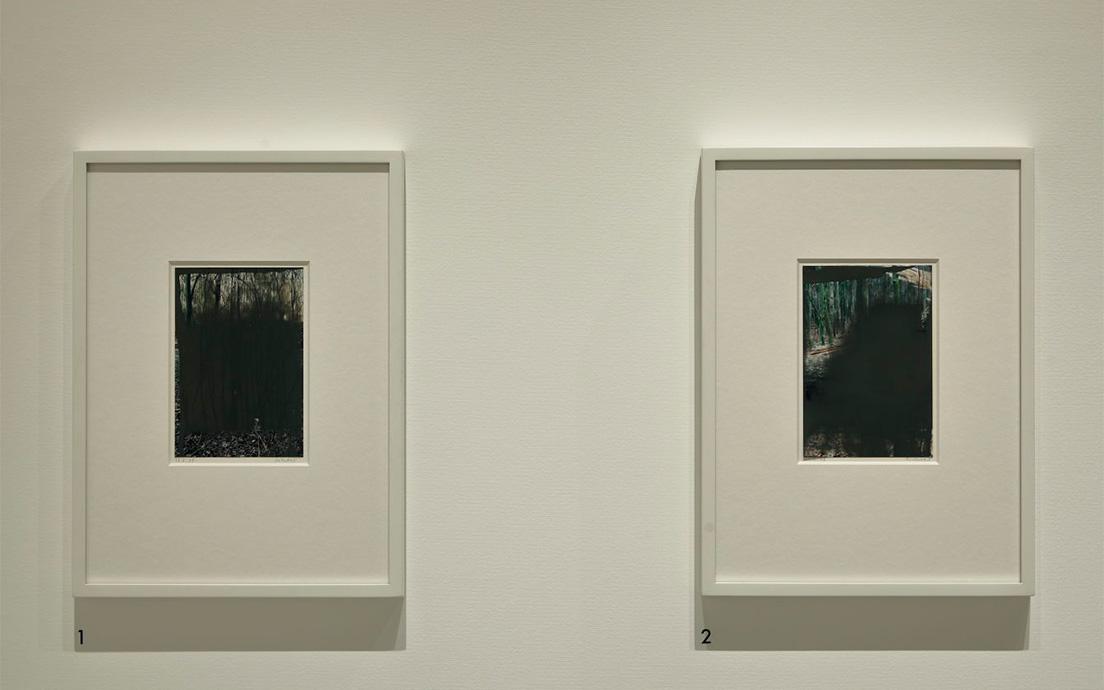 《Grauwald》2008年　カラー写真にエナメル加工ラッカー。18.3×12.3 ㎝（Courtesy of Fondation Louis Vuitton）。「グレイの森」と名づけられたシリーズ。