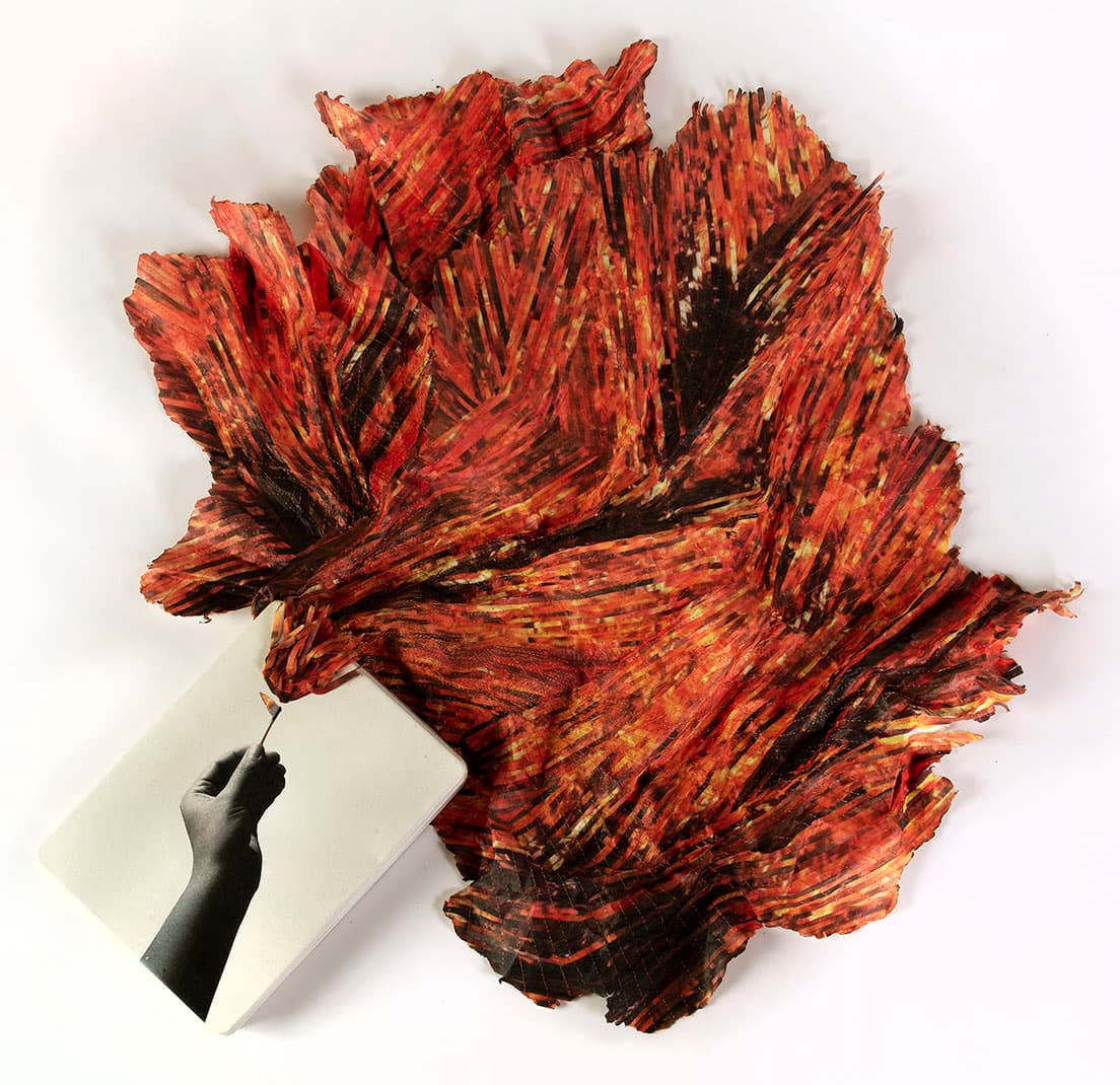 カーラ・リッピー、火 2010、シリーズ「生贄」2009-2019。1970年代後半から写真の収集をはじめ、そのアーカイブを用いて作品制作を行っているカーラ・リッピー。本作はアーカイブにある炎の写真を使ったシリーズのひとつ。 ©︎カーラ・リッピー、プリピクテ