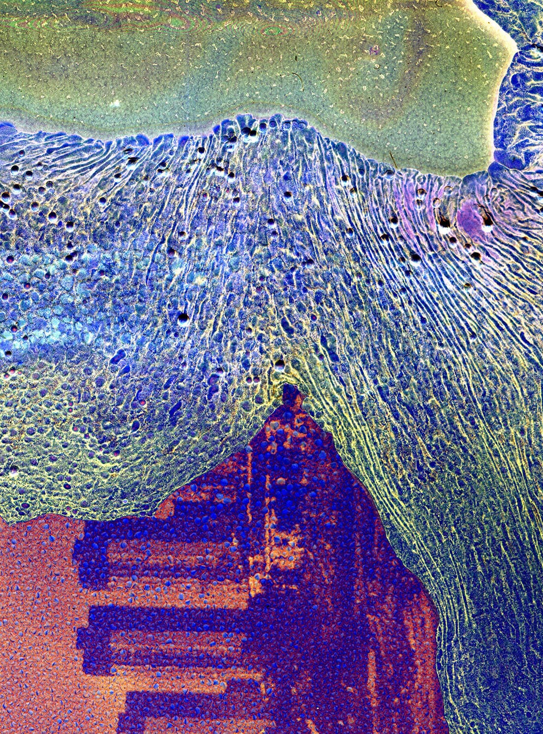 横田大輔、無題2016、シリーズ「マター/バーンアウト」2016。2015年に中国・廈門で発表したインスタレーションを会期終了後、空き地に再度展示したうえでそれを焼失(バーンアウト)させるというプロセスを4000枚に及ぶ写真に記録し、そのデータを用いて新たに加工した作品。 ©横田大輔、プリピクテ