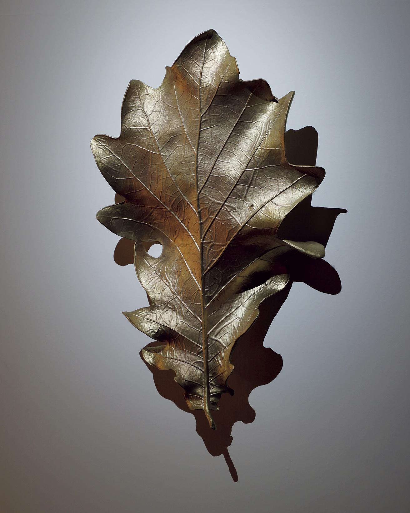 《Oak Leaf -the Given-（Right）》（2023年）。血管をスキャンする技術を用いて、大巻の右手を柏の葉に投影。